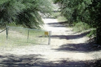 Forest Service Gate
